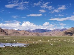 Modern pastures on the highland Tibetan Plateau