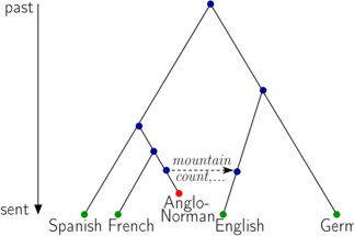 Modelling horizontal transfer of linguistic features