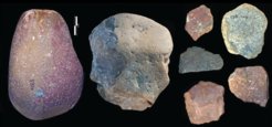 Examples of an Oldowan percussive tool, core and flakes from the Nyayanga site. (left stone) Percussive tool found in 2016. (middle stone) Oldowan core found in 2017. (stone groups on the right side) Oldowan flakes found in 2016 and 2017.