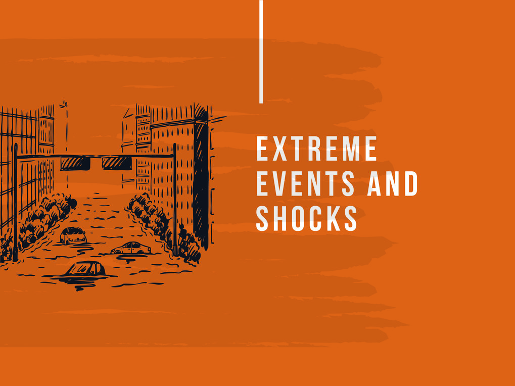 Extreme Events and Shocks