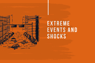Extreme Events and Shocks