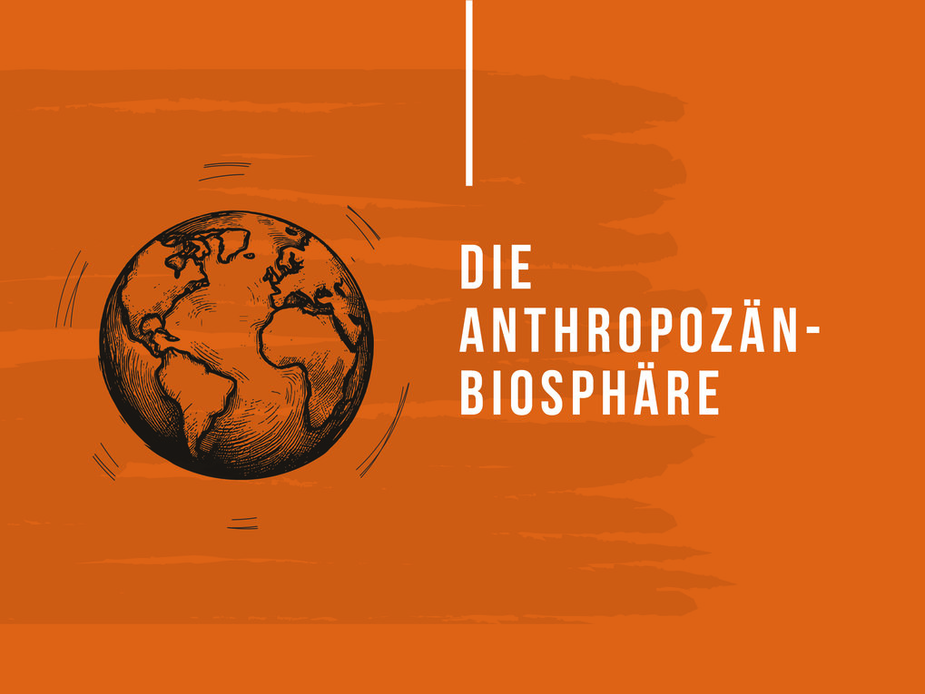 Die Anthropozän-Biosphäre