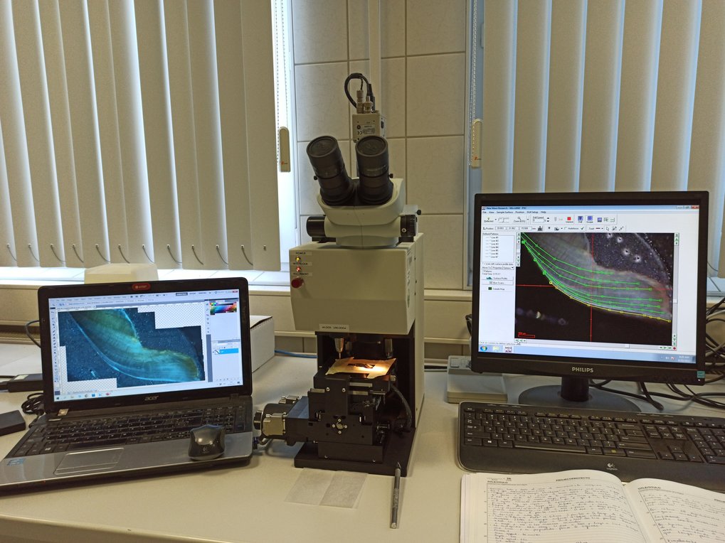 Stable Isotope